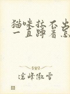 猫咪拉不出尿 一直蹲着怎么办