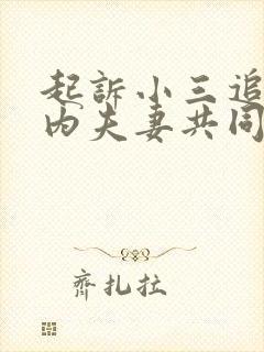 起诉小三追回婚内夫妻共同财产怎么起诉