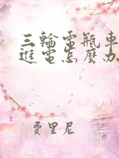 三轮电瓶车充不进电怎么办