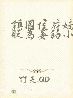 镇国侯府嫡女被贬为妾的小说