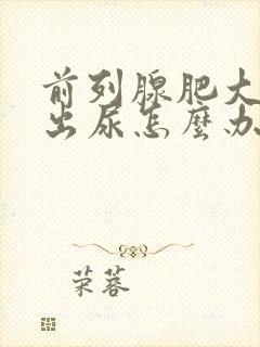 前列腺肥大排不出尿怎么办