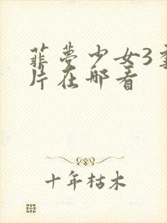 菲梦少女3季正片在哪看