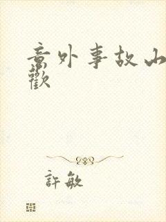 意外事故山月辞欢