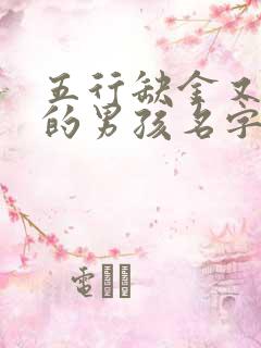 五行缺金又缺木的男孩名字