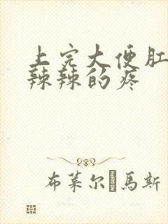 上完大便肛门火辣辣的疼