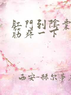 肛门到阴囊处抽筋疼一下