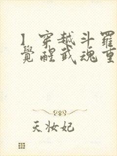 】穿越斗罗 你觉醒武魂重瞳...