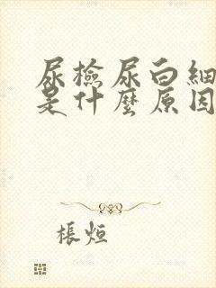 尿检尿白细胞高是什么原因