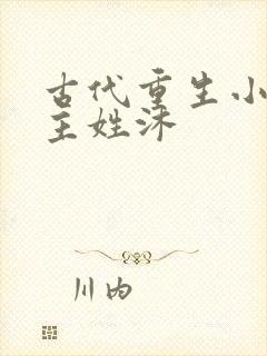 古代重生小说女主姓沐