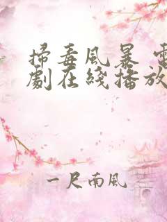 扫毒风暴 电视剧在线播放