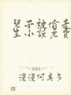 儿子被偷走的人生小说免费阅读