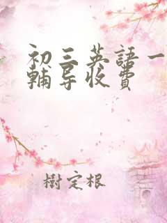 初三英语一对一辅导收费