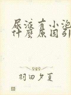 尿液有小泡泡是什么原因引起的