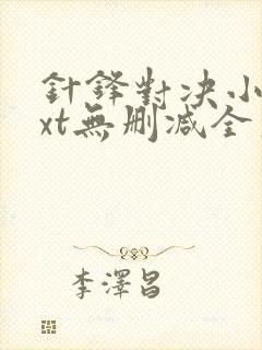 针锋对决小说txt无删减全文