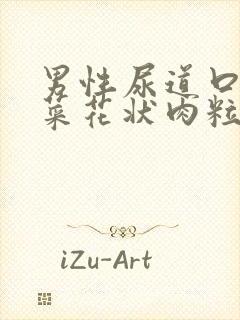 男性尿道口长出菜花状肉粒