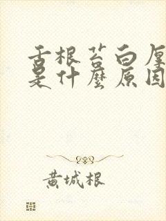 舌根苔白厚黄腻是什么原因