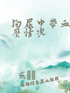 狗尿中带血是什么情况