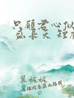 只愿君心似我心 盛长天 短剧