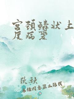 宫颈鳞状上皮高度病变