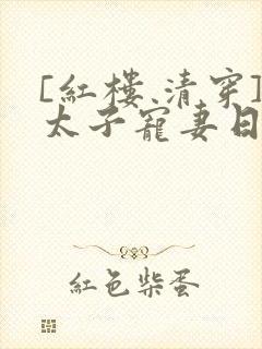 [红楼 清穿]太子宠妻日常 小说