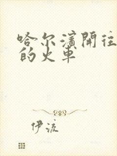 哈尔滨开往漠河的火车