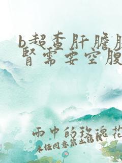 b超查肝胆胰脾肾需要空腹吗