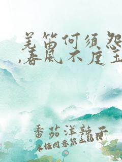 羌笛何须怨杨柳,春风不度玉门关的意思