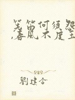 筅笛何须怨杨柳,春风不度玉门关