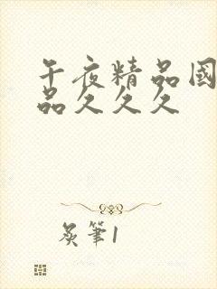 午夜精品国产精品久久久