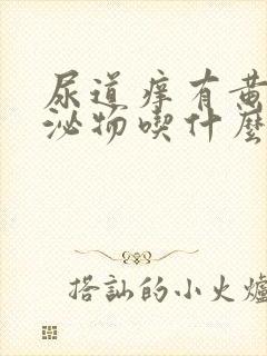 尿道痒有黄色分泌物吃什么药