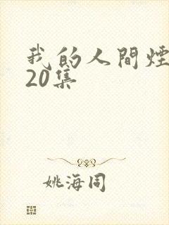 我的人间烟火第20集