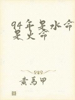 94年是水命还是火命