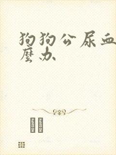 狗狗公尿血是怎么办