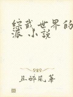 综武世界的大反派 小说