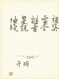 他是谁电视剧在线观看全集免费高清