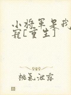 小将军是我心尖宠[重生]