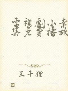 电视剧小幸福全集免费播放