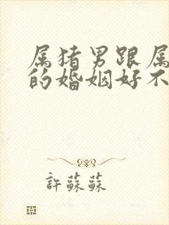 属猪男跟属龙女的婚姻好不好