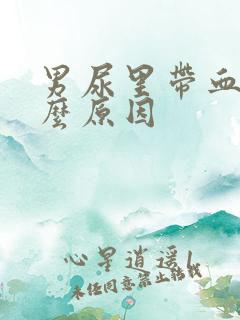 男尿里带血是什么原因