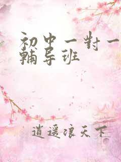 初中一对一历史辅导班