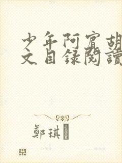 少年阿宾胡太全文目录阅读在线