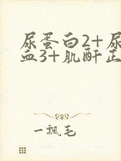 尿蛋白2+尿潜血3+肌酐正常