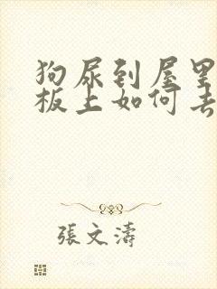 狗尿到屋里木地板上如何去除异味