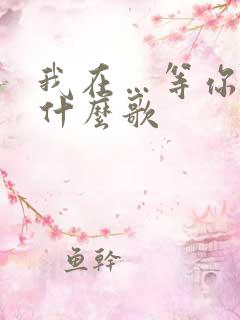 我在…等你来是什么歌