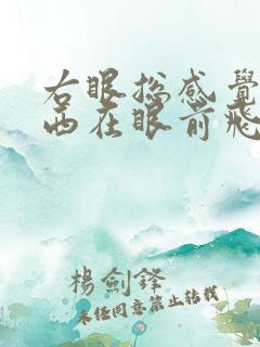 右眼总感觉有东西在眼前飞