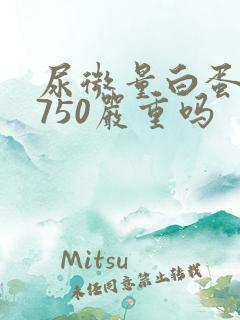 尿微量白蛋白高750严重吗