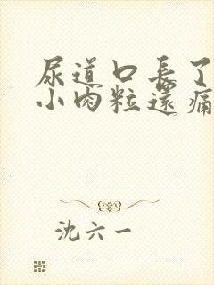 尿道口长了几个小肉粒还痛