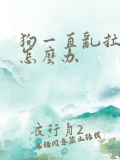 狗一直乱拉乱尿怎么办