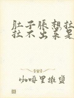 肚子胀想拉屎又拉不出来是什么原因