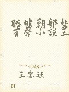 听明朝那些事儿有声小说王更新